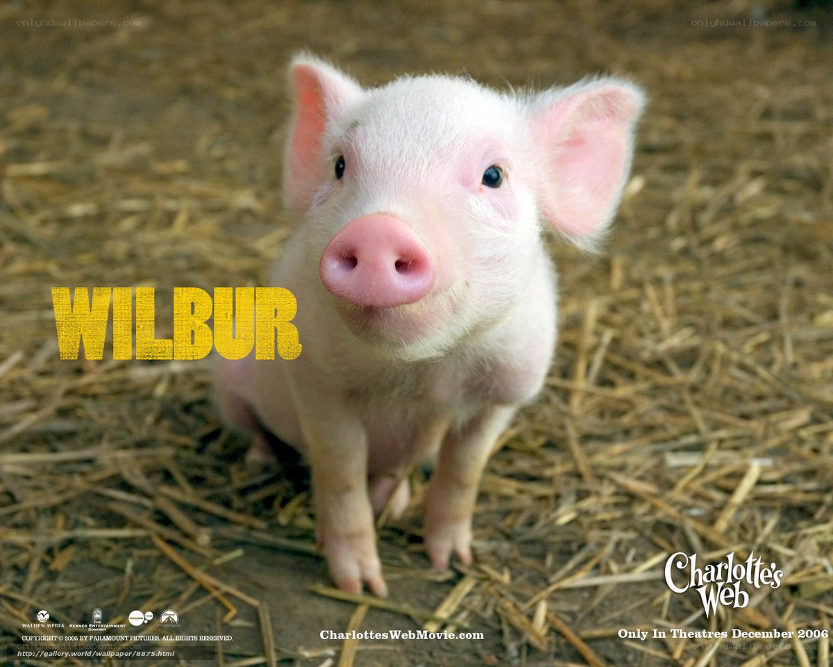 Wilbur the pig from Charlotte's Web