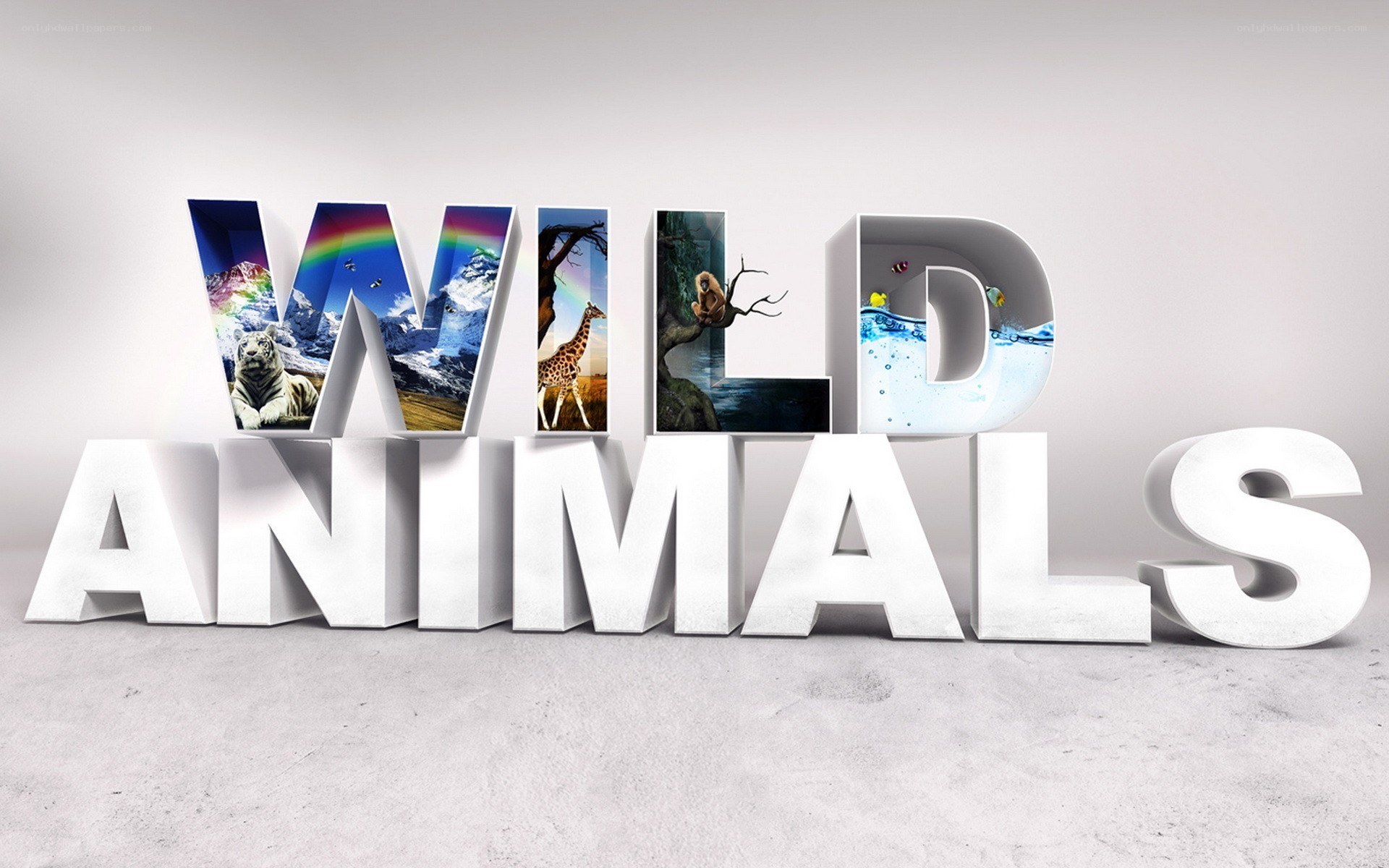 Wild Animals 3D Text
