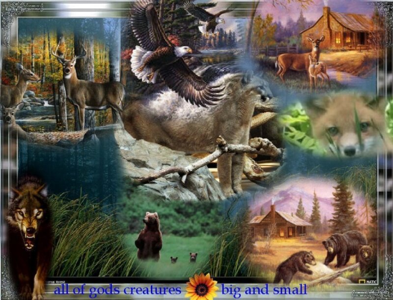 Wild Animals Collage — Brown, Natural