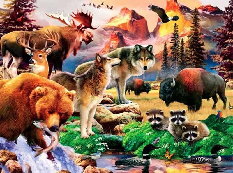 Wild Animals in Forest