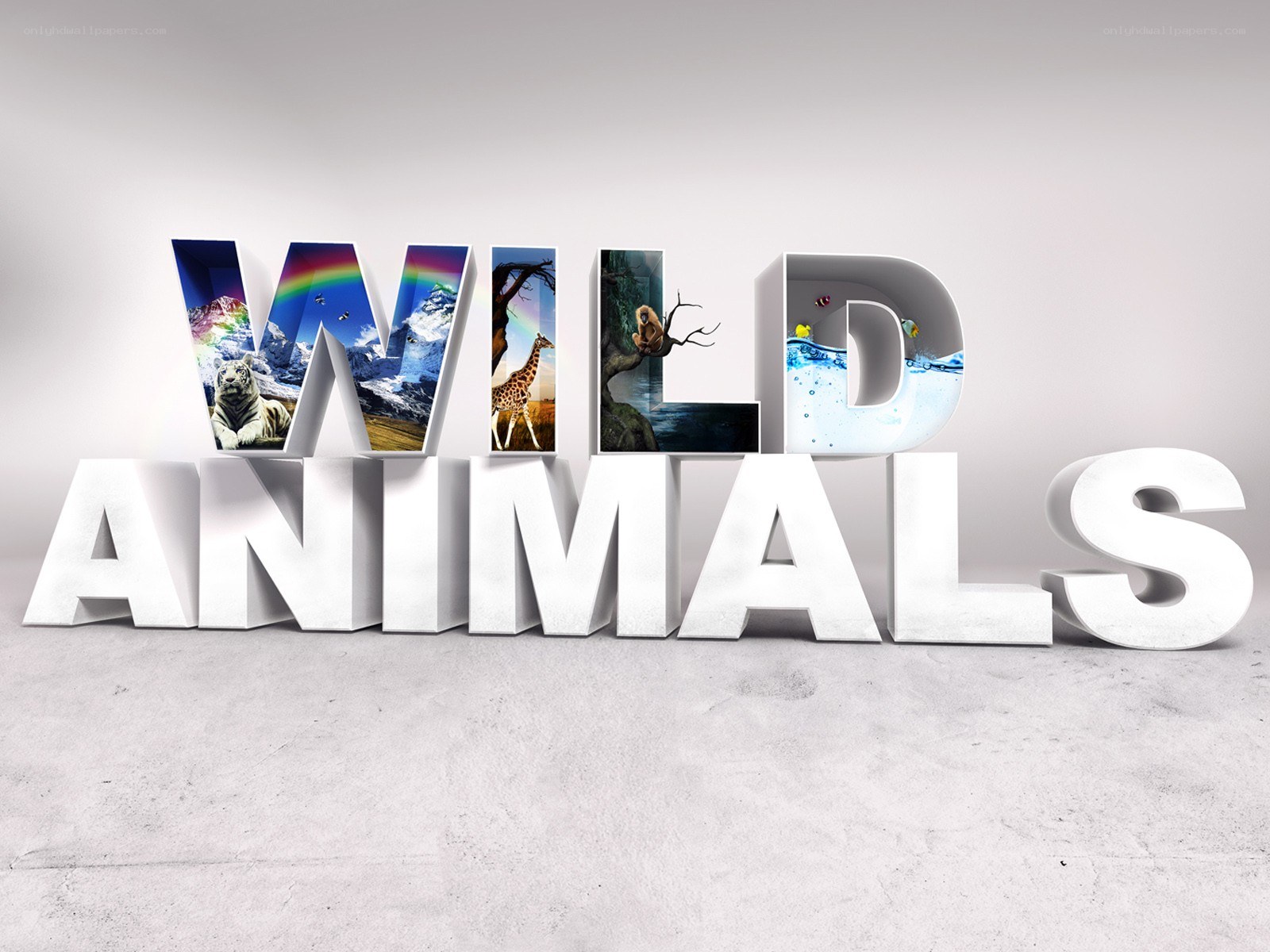 wild animals text art