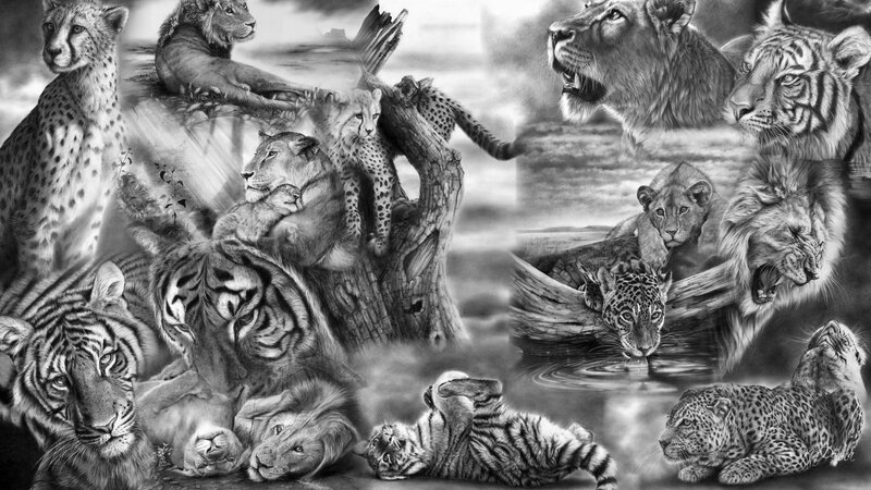 Wild Big Cats Collage