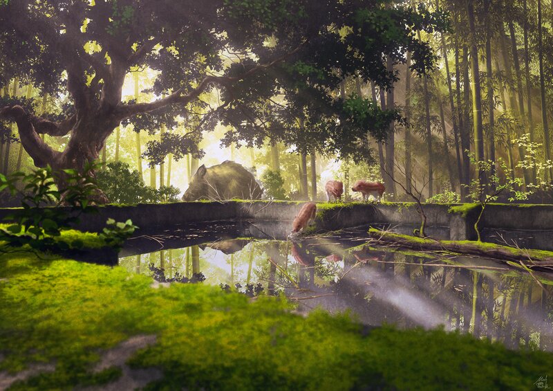 Wild Boars in Forest — Green