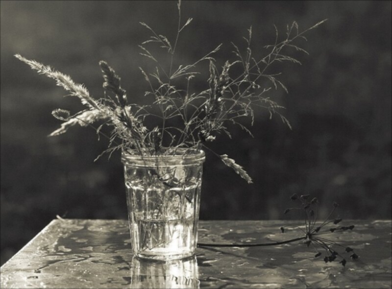 Wild Grass in Glass Jar