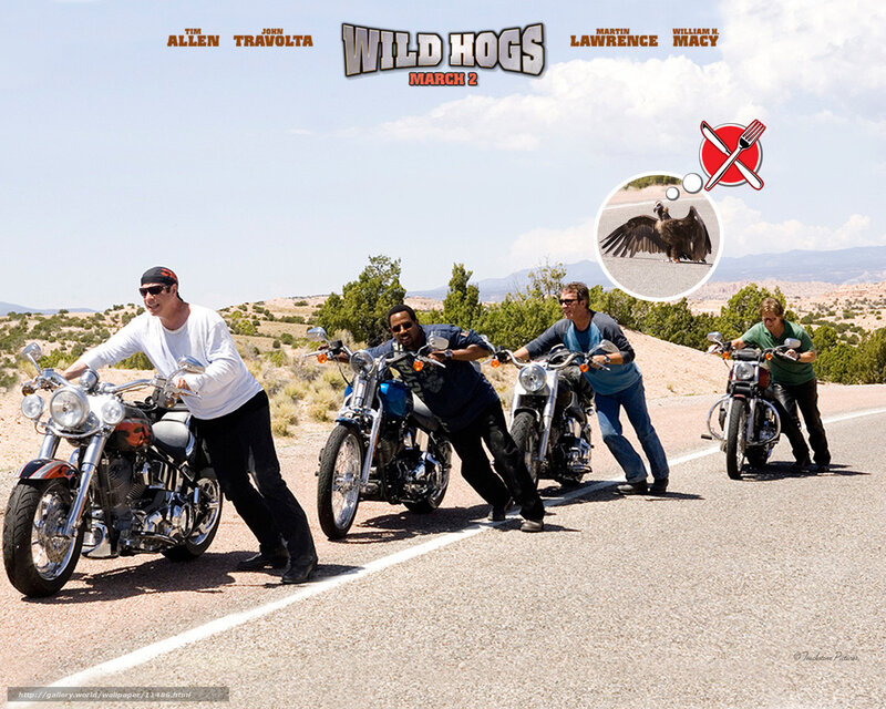 Wild Hogs movie poster