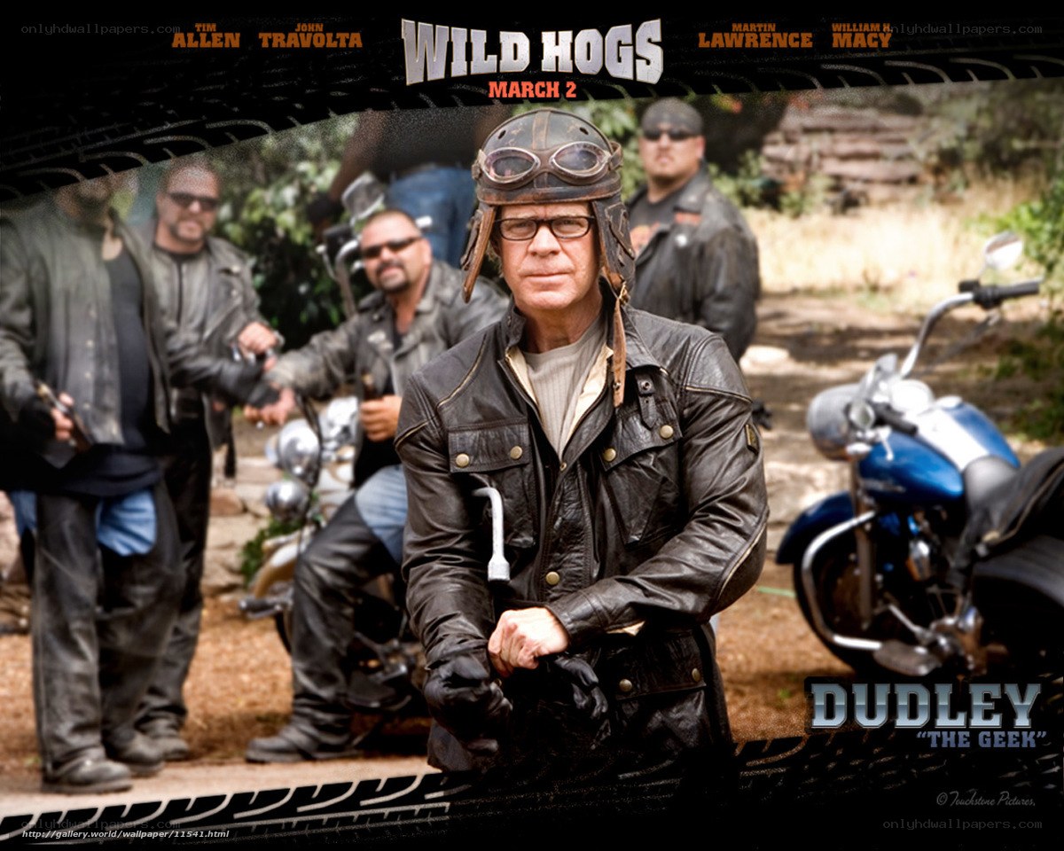 Wild Hogs movie poster