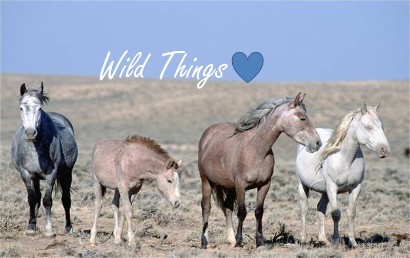 Wild Horses in Field — Blue