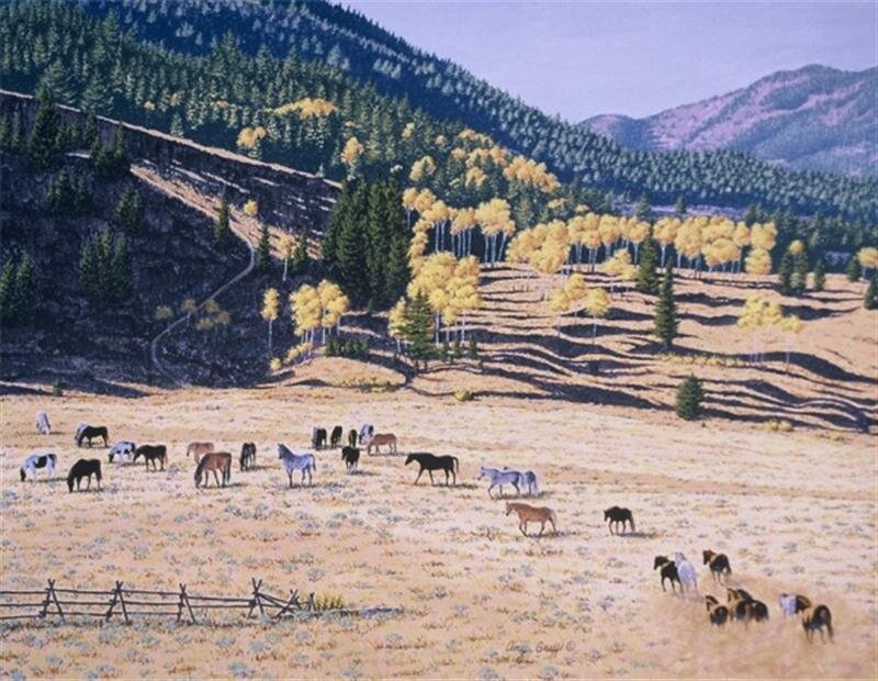 Wild Horses in Field — Brown, Serene