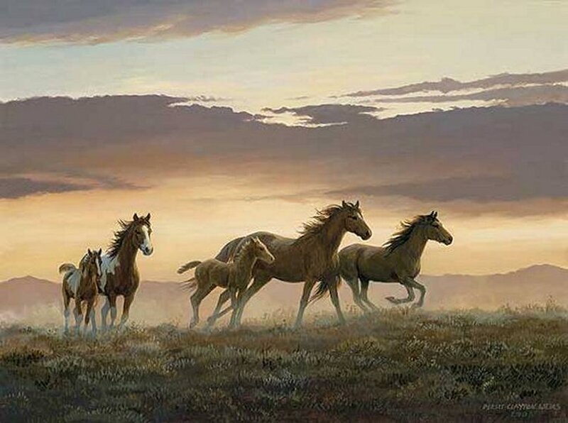 Wild Horses Running — Brown, Serene