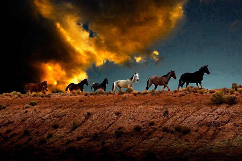 Wild Horses Running — Orange, Dramatic, Sunset
