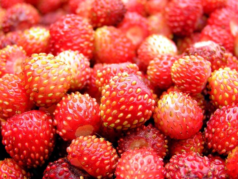 Wild Strawberries
