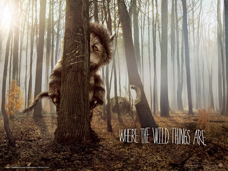 Wild Thing in Forest