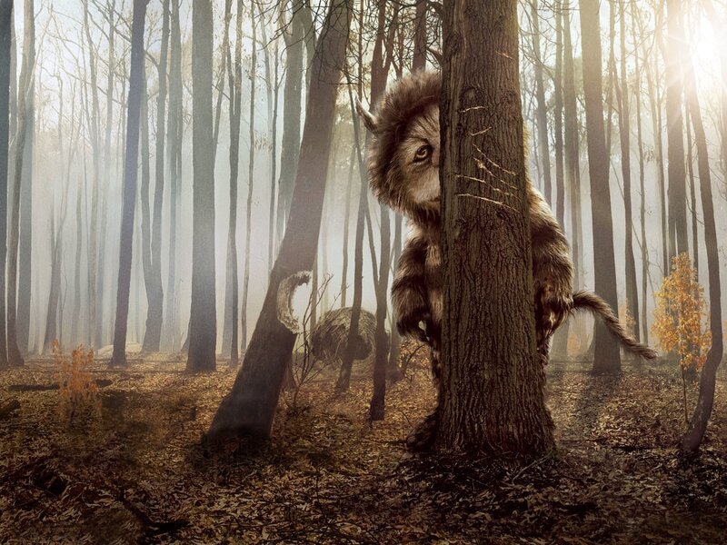 Wild Thing in the forest