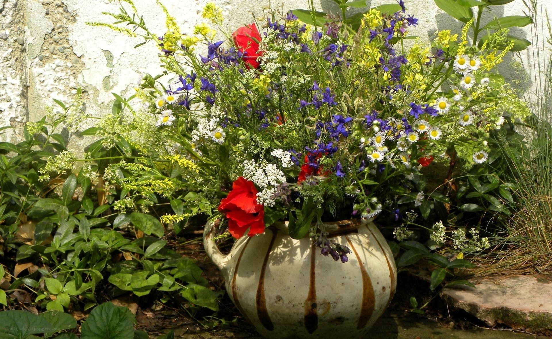 Wildflower bouquet in a vase