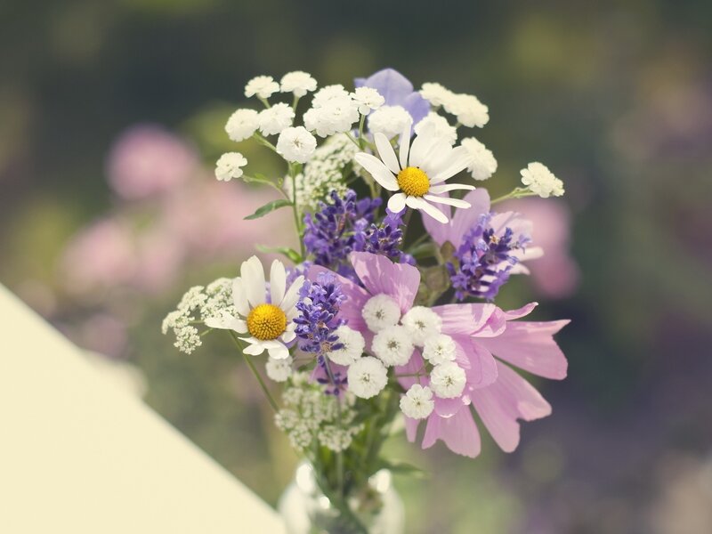 Wildflower bouquet in a vase