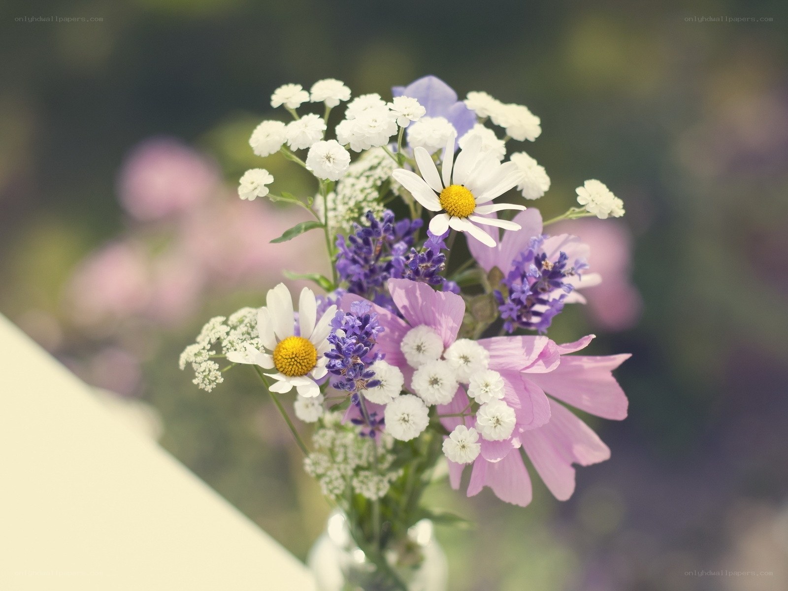 Wildflower bouquet in a vase