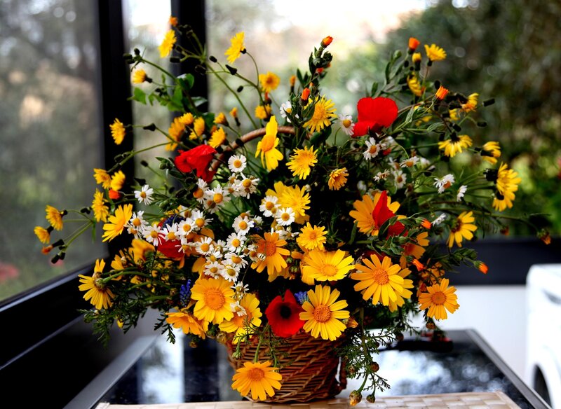 Wildflower Bouquet in Basket — Yellow, Bright