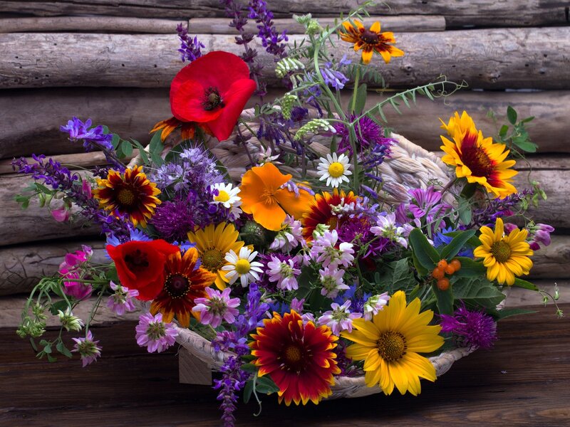 Wildflower Bouquet in Basket — Yellow, Vibrant