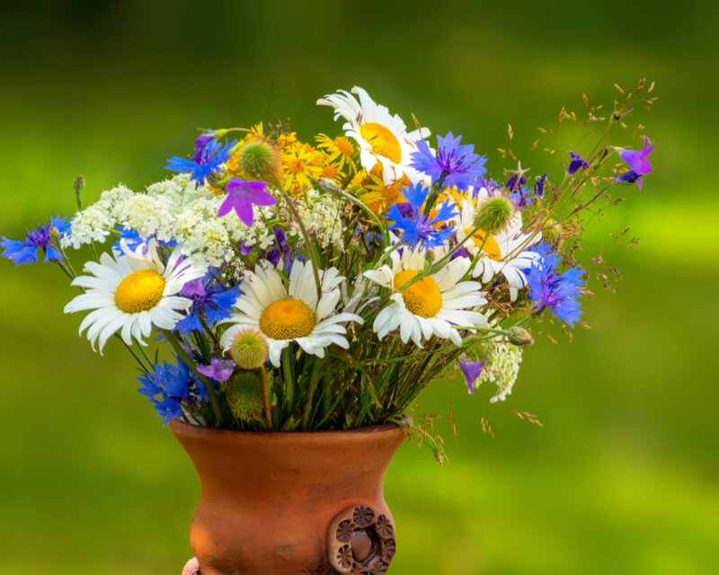 Wildflower Bouquet in Vase — Green, Serene