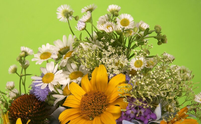 Wildflower bouquet on green