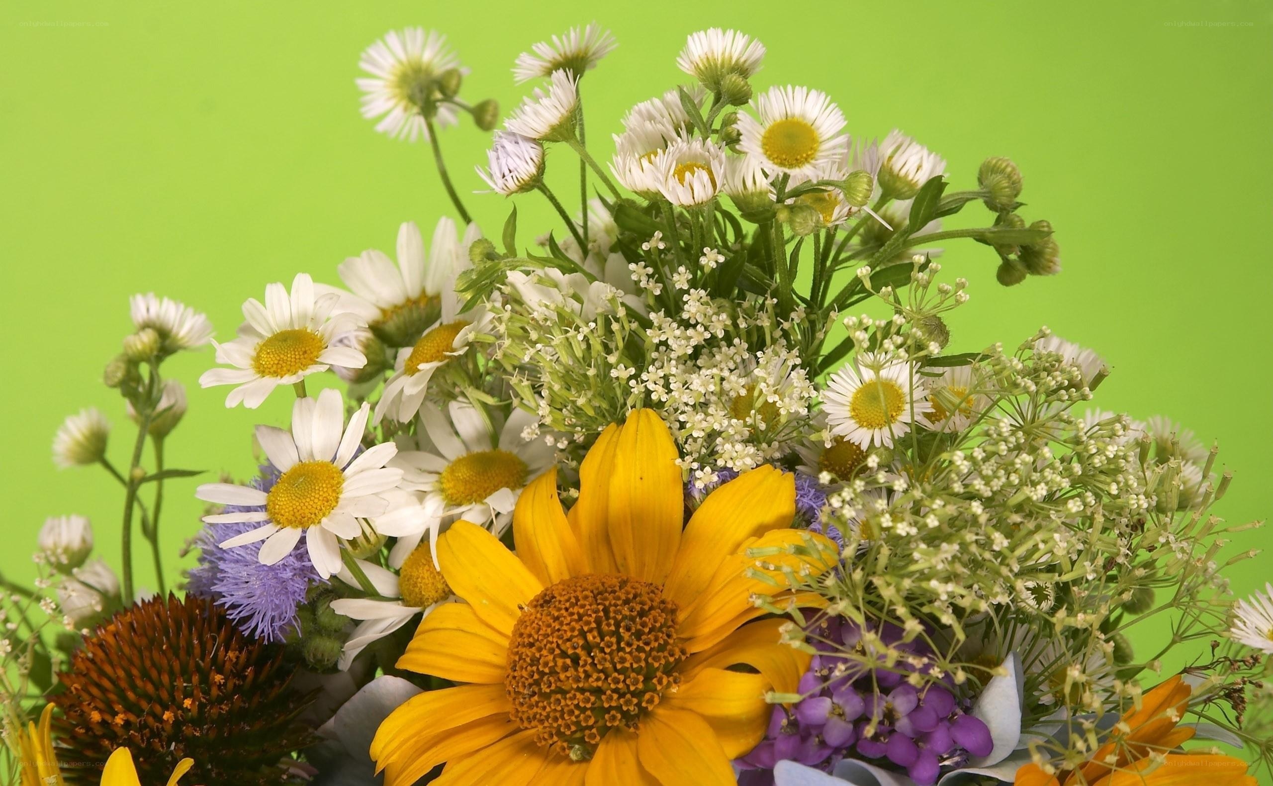 Wildflower bouquet on green