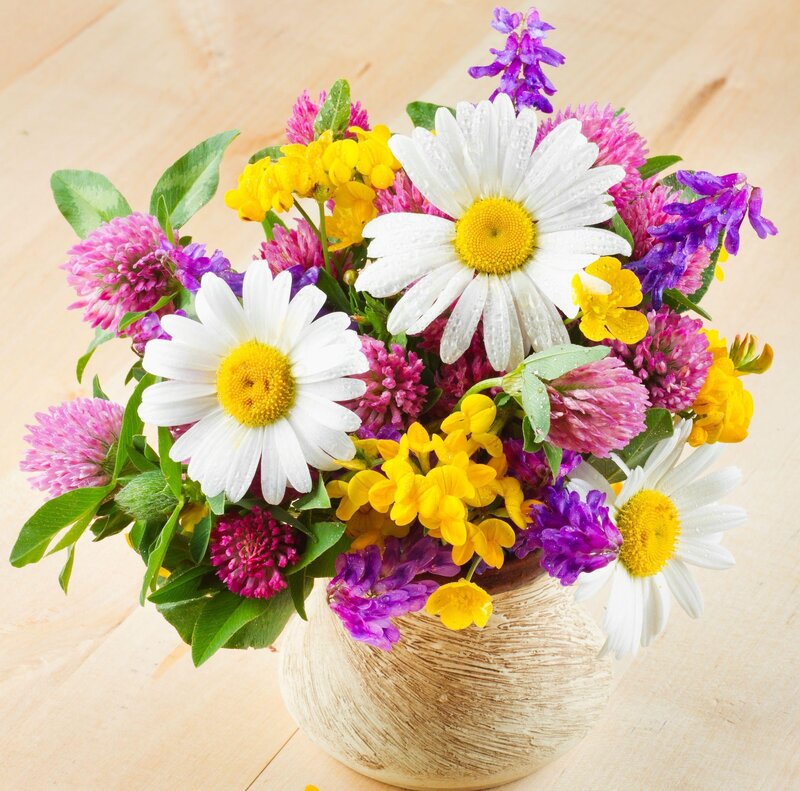 Wildflower Bouquet — White, Bright, Spring, Photograph