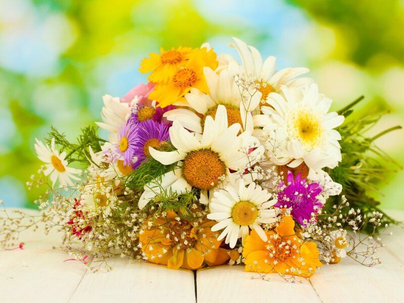 Wildflower Bouquet — White, Bright