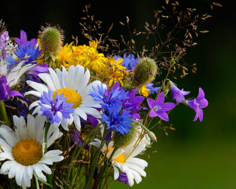 Wildflower Bouquet — White, Natural, Summer