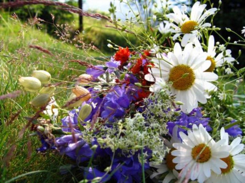 Wildflower Bouquet — White, Natural