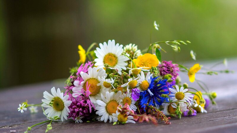 Wildflower Bouquet — White, Serene, Spring, Photograph, Daisies