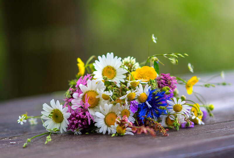 Wildflower Bouquet — White, Serene, Spring, Photograph