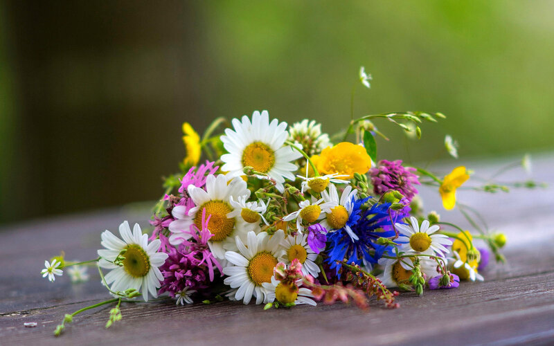 Wildflower Bouquet — White, Serene, Summer