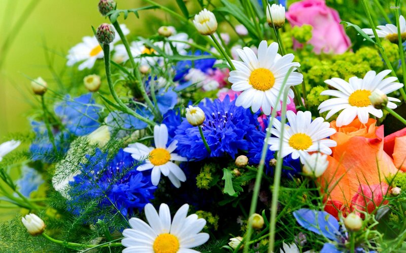 Wildflower Bouquet — White, Vibrant