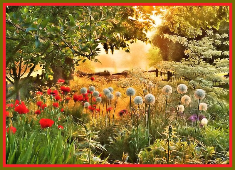 Wildflower Garden at Sunset