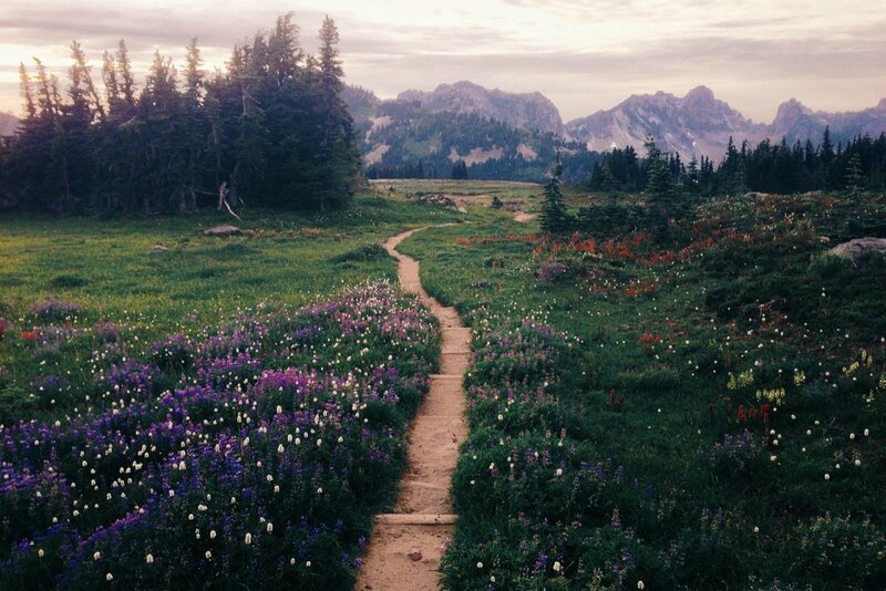 Wildflower Meadow Trail — Green
