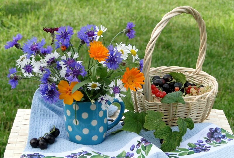 Wildflowers and Berries — Blue, Serene