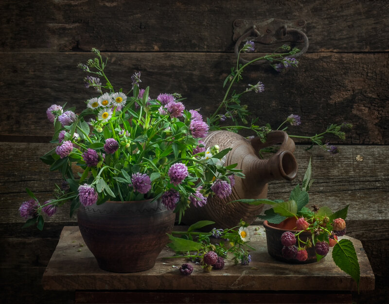 Wildflowers and Berries — Brown, Serene