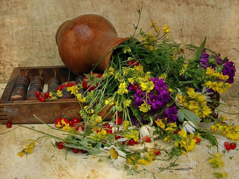 Wildflowers and Berries