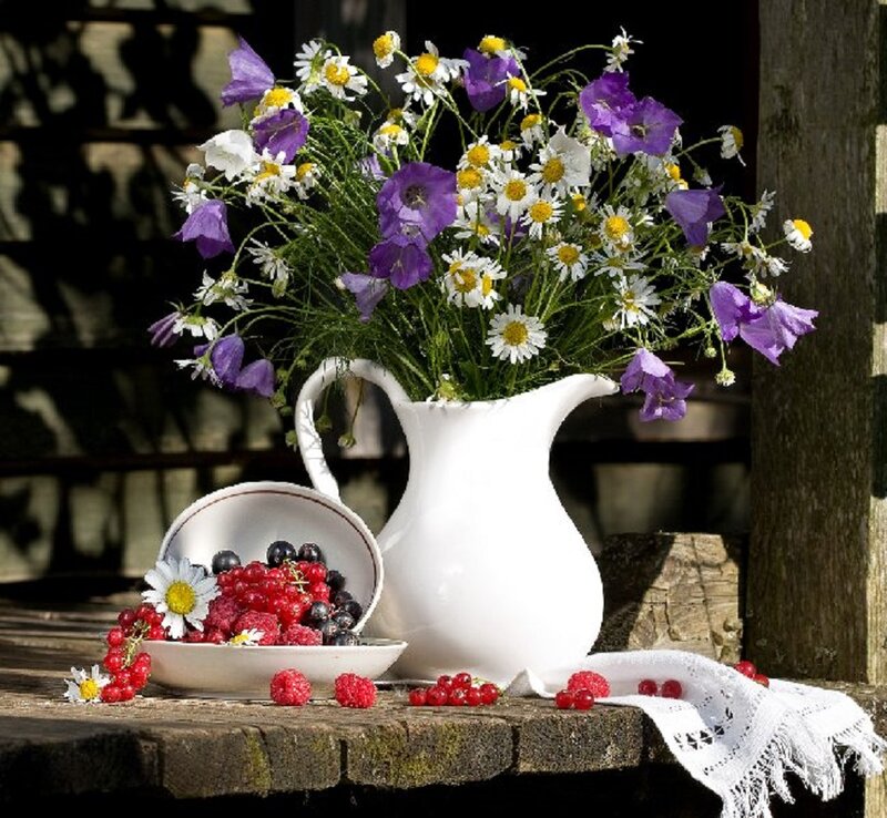 Wildflowers and Berries — White