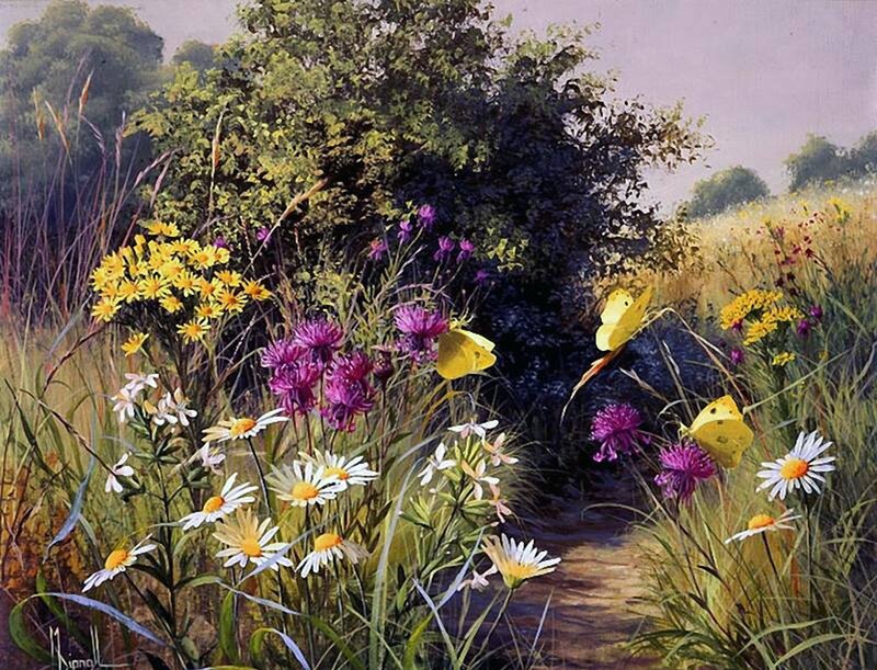 Wildflowers and Butterflies