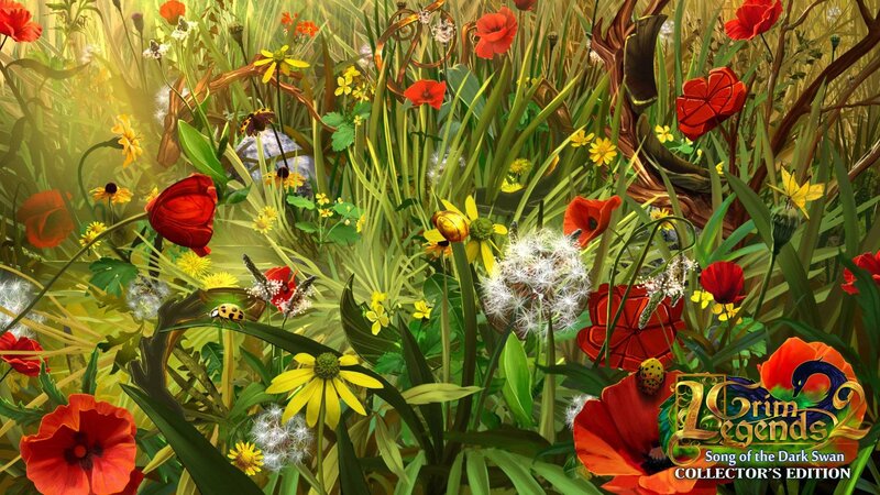 Wildflowers and Insects