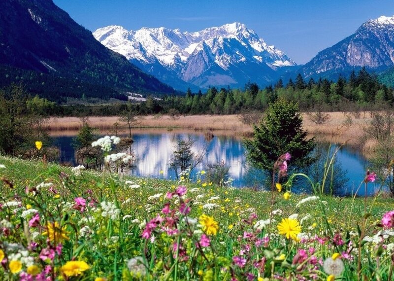 Wildflowers and Mountain Lake