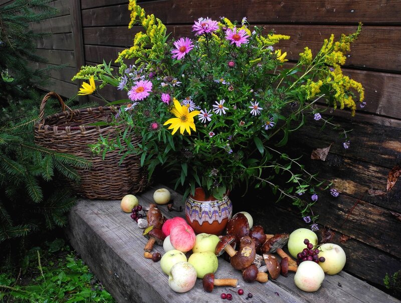 Wildflowers and Mushrooms