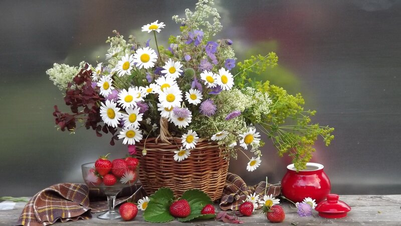 Wildflowers and Strawberries — White