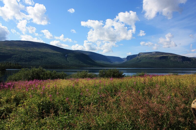Wildflowers by Lake — Green, Serene, Summer, Photograph, Mountains