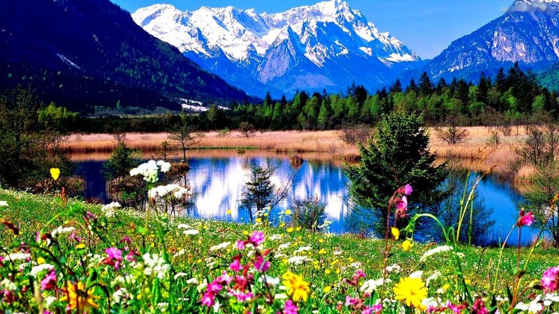 Wildflowers by Mountain Lake — Blue, Serene, Spring