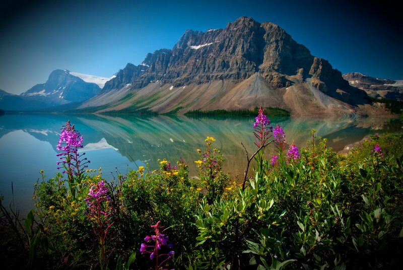 Wildflowers by Mountain Lake — Blue, Serene, Summer