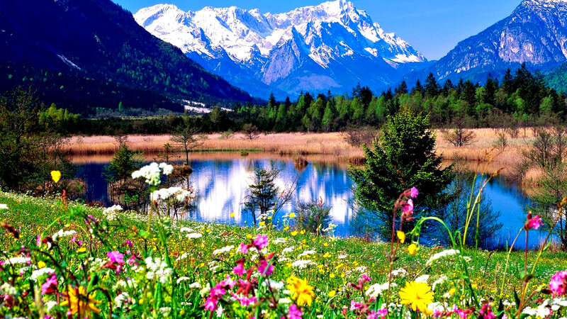 Wildflowers by Mountain Lake — Blue