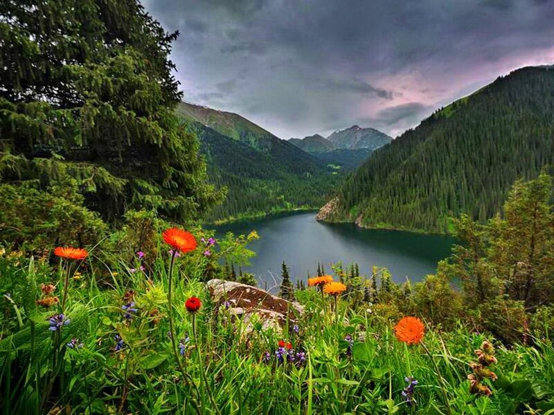 Wildflowers by Mountain Lake — Green, Dramatic, Afternoon