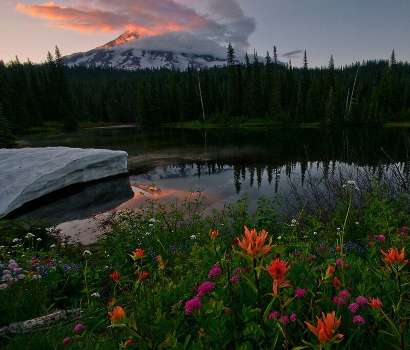 Wildflowers by Mountain Lake — Orange